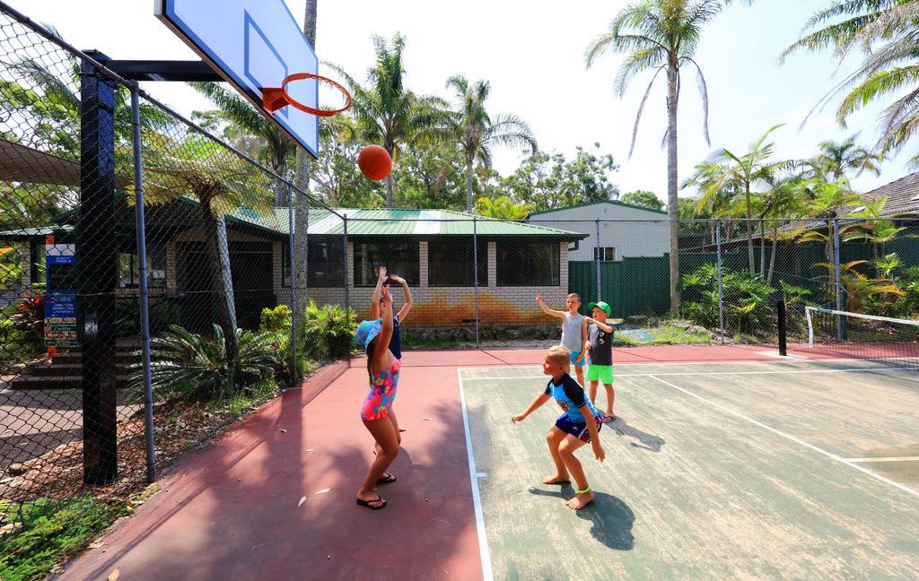 Koala Shores Holiday Park Lemon Tree Passage Ngoại thất bức ảnh
